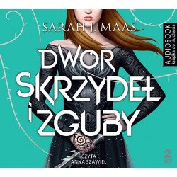 audiobook - Dwór skrzydeł i zguby - Sarah J. Maas