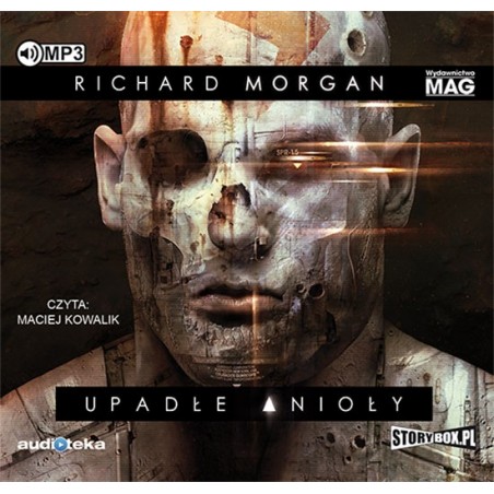 audiobook - Upadłe anioły - Richard Morgan