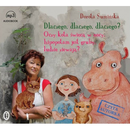 audiobook - Dlaczego, dlaczego, dlaczego? - Dorota Sumińska