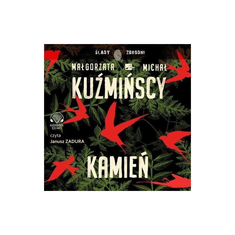 audiobook - Kamień - Małgorzata Kuźmińska, Michał Kuźmiński