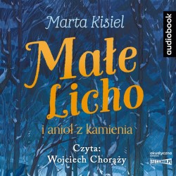 audiobook - Małe Licho i anioł z kamienia - Marta Kisiel
