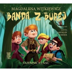 audiobook - Tajemnica lasu. Banda z Burej - Magdalena Witkiewicz