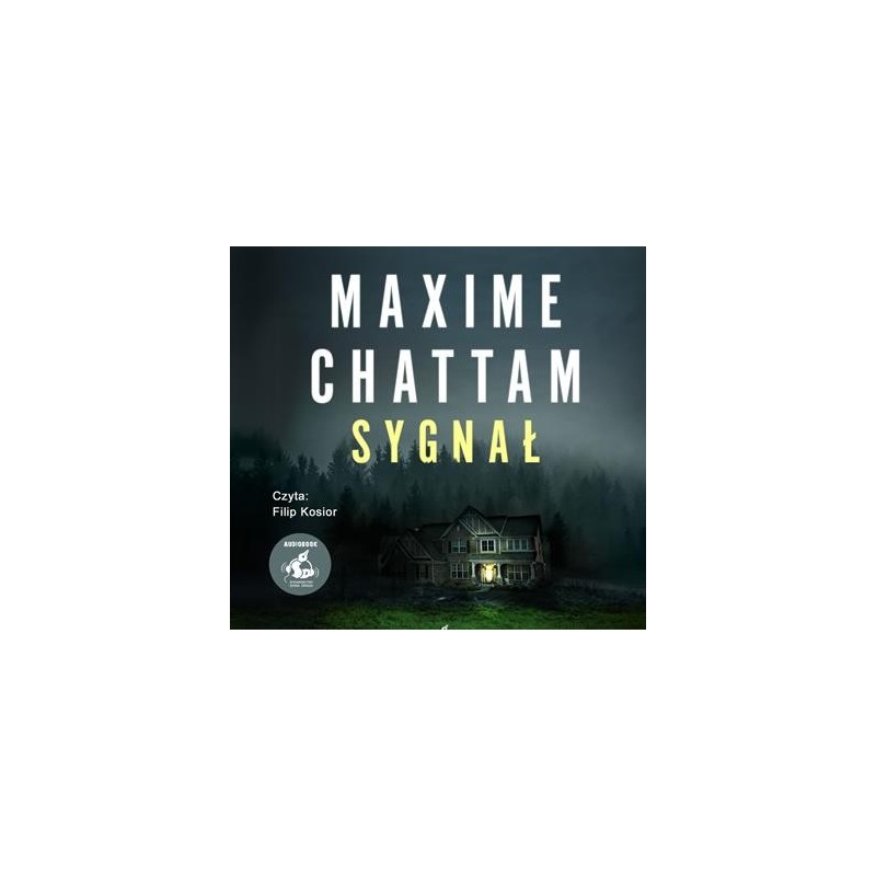 audiobook - Sygnał - Maxime Chattam