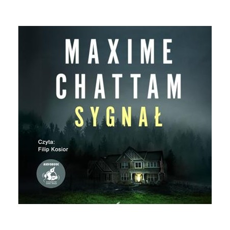 audiobook - Sygnał - Maxime Chattam