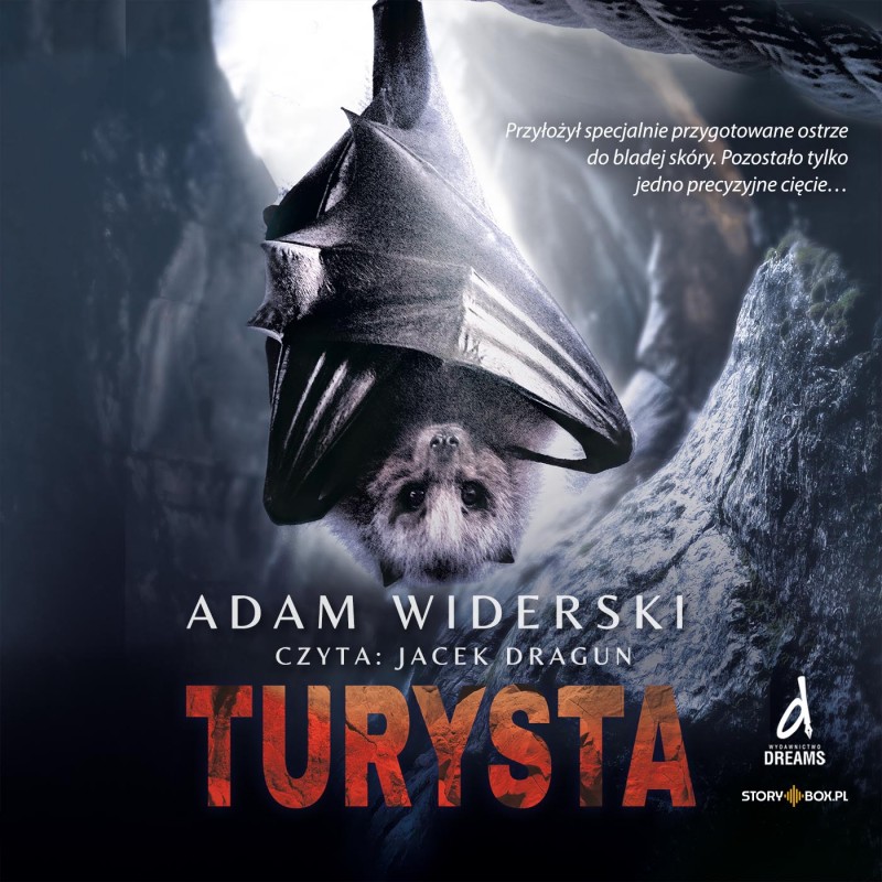 Turysta