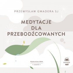 Medytacje dla przebodźcowanych