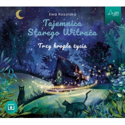 Tajemnica Starego Witraża....